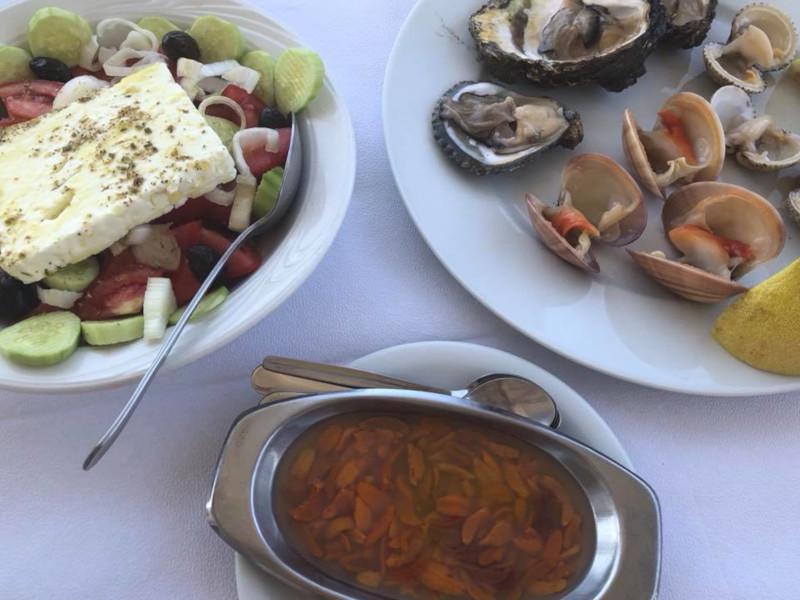 Book yachts online - sailboat - Freedom 58 - Ikarian Star - rent