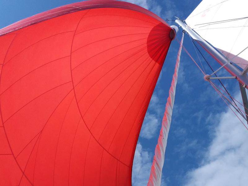 Book yachts online - catamaran - Lucia 40 - Rhum marin - rent