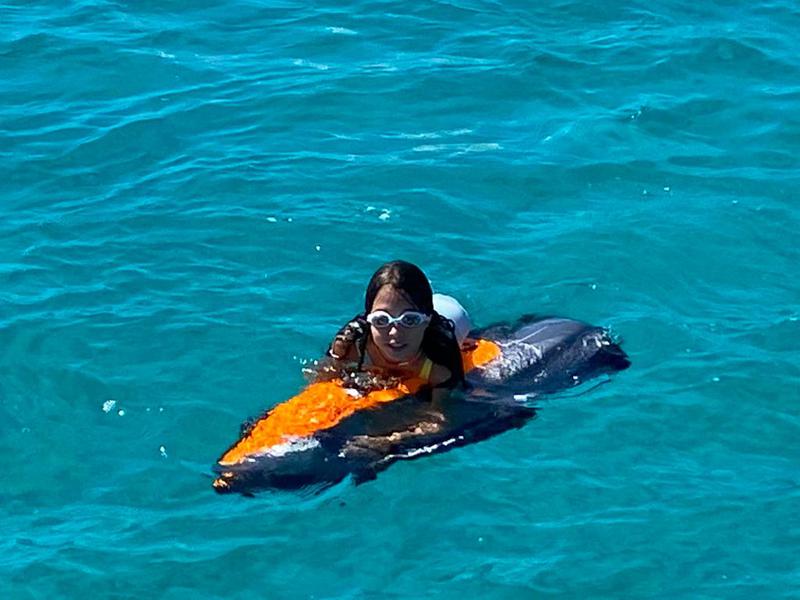 Book yachts online - motorboat - Fjord 44 Open - MEDCAT68 Available for daily charter only - From 10:00 to 20:00 - 0 night - rent