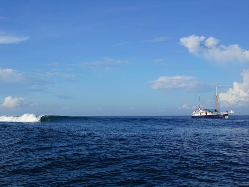 Book yachts online - other - Motor sailer - Anne Judith II - rent