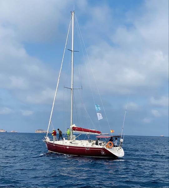 Book yachts online - sailboat - Oceanis 50 - Furtivo - rent