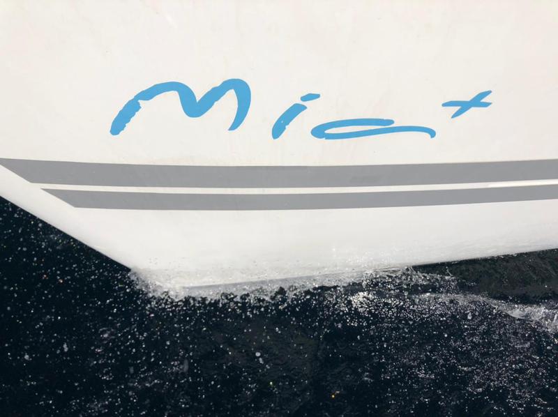 Book yachts online - catamaran - Lagoon 450  Flybridge - MIA PLUS - rent