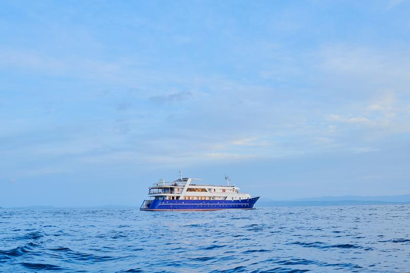 Book yachts online - motorboat - Motoryacht - Lupus Mare - rent