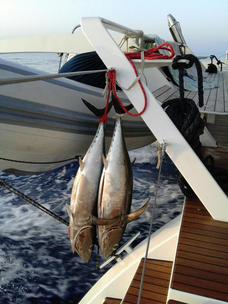 Book yachts online - catamaran - Lagoon 52F - MOJITO ex BE HAPPY - rent