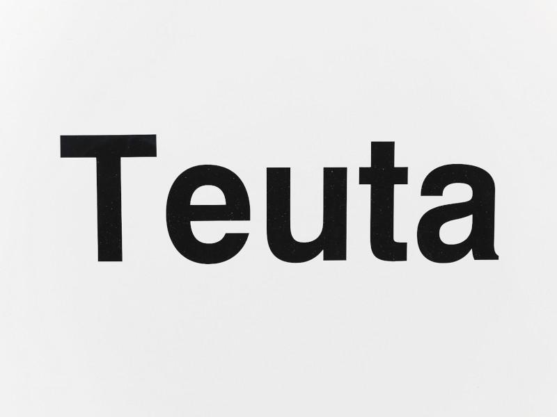 Book yachts online - sailboat - Cobra 38 - TEUTA  - rent