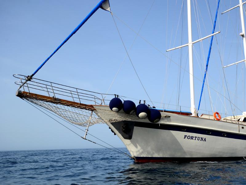 Book yachts online - other - Gulet Fortuna - Fortuna - rent