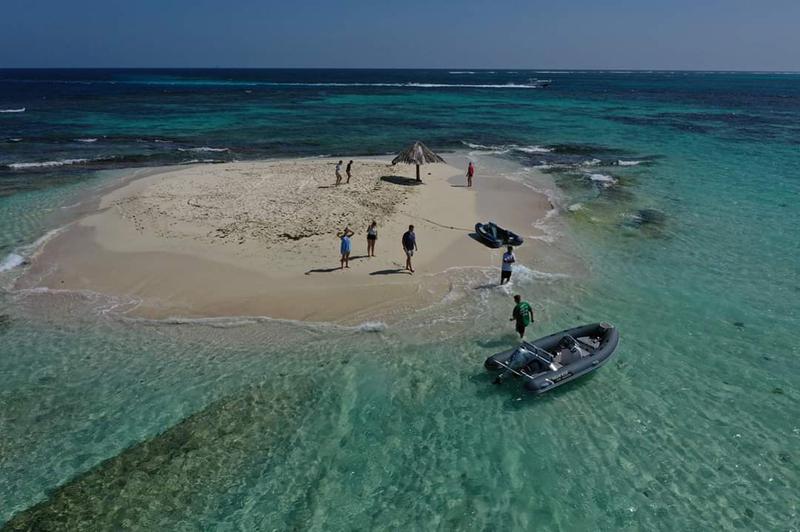 Book yachts online - catamaran - Lagoon 560 S2 - Taipan - rent