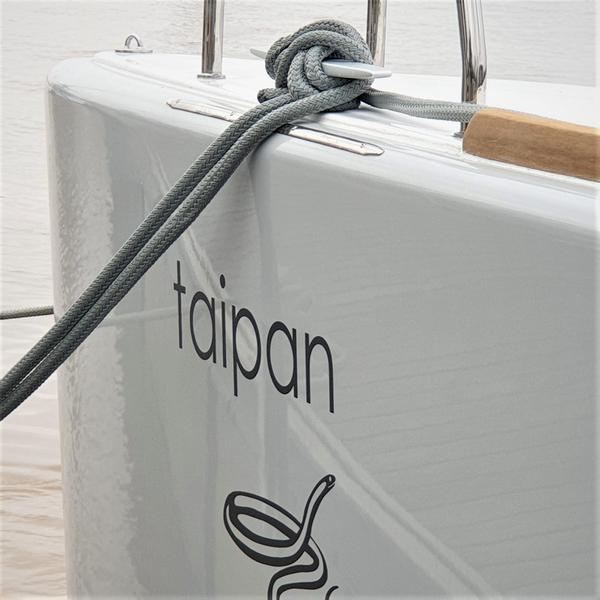 Book yachts online - catamaran - Lagoon 560 S2 - Taipan - rent