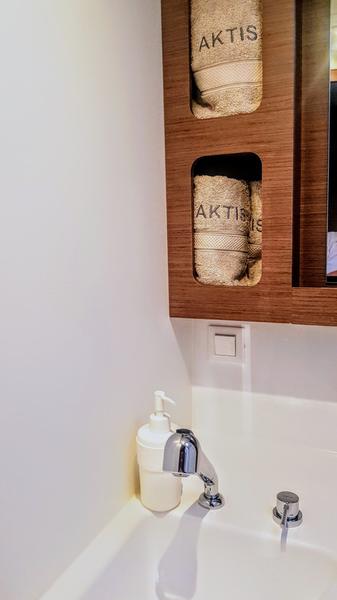 Book yachts online - catamaran - Lagoon 42 - AKTIS (air condition, generator, watermaker)   _Skippered Only_ - rent