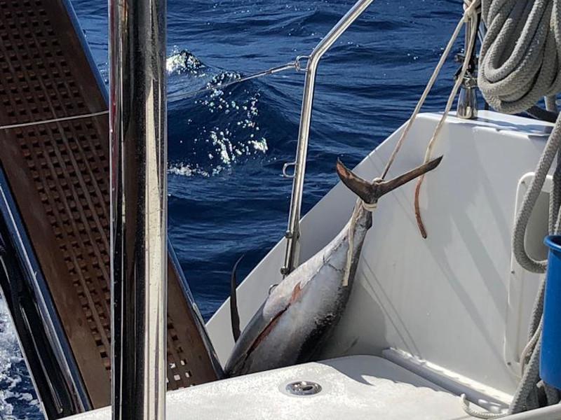 Book yachts online - catamaran - Lagoon 450  Flybridge - Oceana (VIP Equipment incl A/C, Generator, Water Maker, PS 4, Dishwasher, Washer+Dryer) - rent