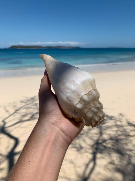 Book yachts online - catamaran - Lagoon 380 - BALAO - rent