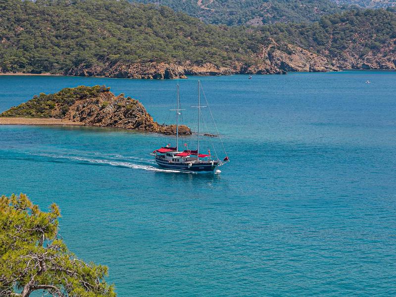 Book yachts online - other - Gulet 26 - Pronto Blue - rent