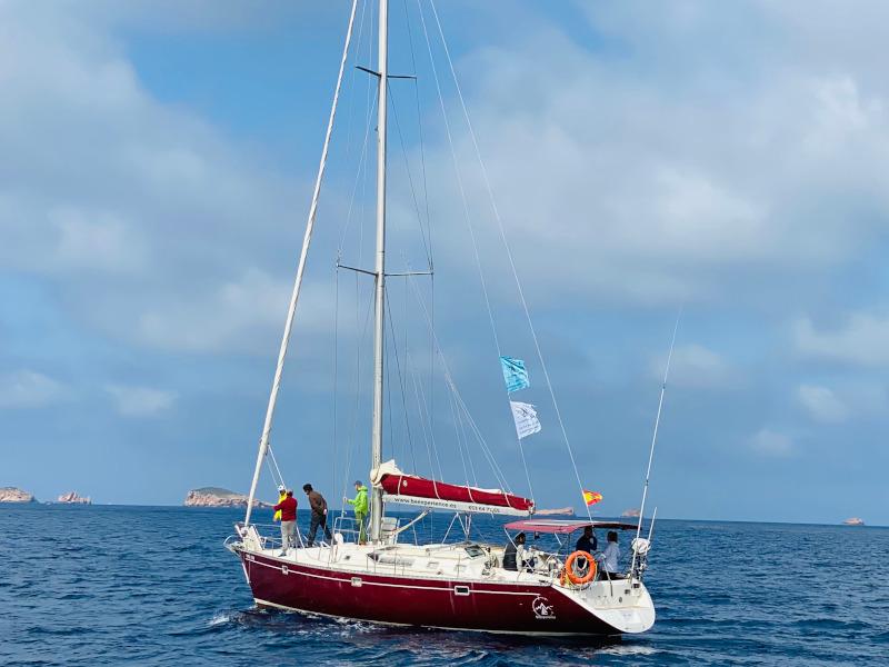 Book yachts online - sailboat - Oceanis 50 - Furtivo - rent
