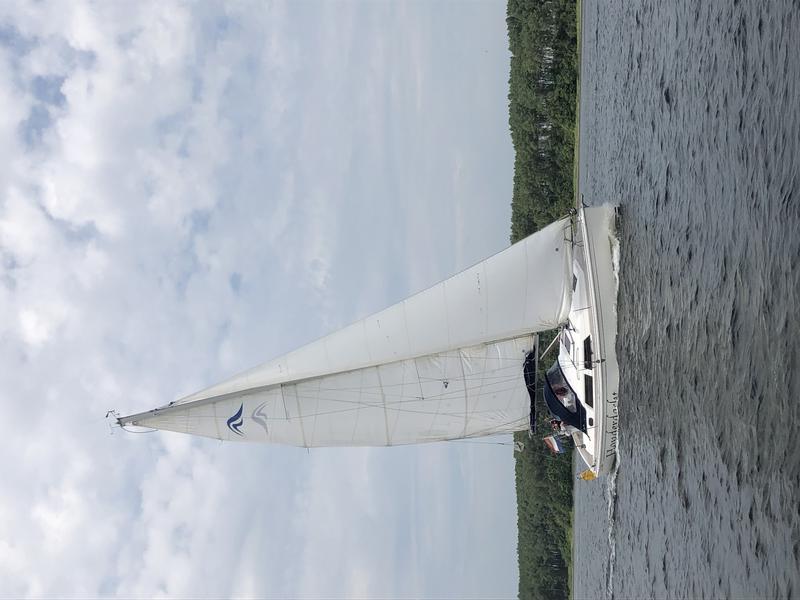 Book yachts online - sailboat - Hanse 355 - Bel Vento - rent