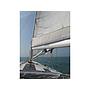 Book yachts online - sailboat - Bavaria 45 - B 45 - rent