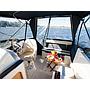 Book yachts online - motorboat - Nautika MC - Nautika MC - rent