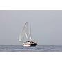 Book yachts online - other - Gulet Athena - Athena - rent