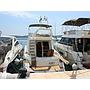 Book yachts online - motorboat - Sealine F42-5 Fly - SUNSHINE 8 - rent