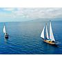 Book yachts online - other - Gulet Kavanca - Sailing Gulet Kavanca - rent
