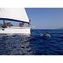 Book yachts online - sailboat - Gib Sea 51 - Cinderella - rent
