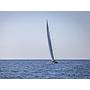 Book yachts online - sailboat - Hanse 630 - Zara - rent