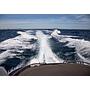 Book yachts online - motorboat - Bavaria 43 HT Sport - Gustel - rent
