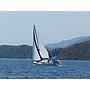 Book yachts online - sailboat - Sun Odyssey 34.2 - Papalagi - rent