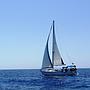 Book yachts online - sailboat - Sun Odyssey 37 (1) - Jambo - rent