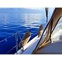 Book yachts online - sailboat - Cyclades 43.4 - TINA - rent