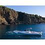 Book yachts online - motorboat - Nuova Jolly Prince 38 Sport Cabin - Tiger Lily - rent