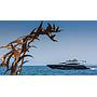 Book yachts online - motorboat - Sunseeker Yacht 86 - The Best Way - rent