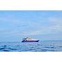 Book yachts online - motorboat - Motoryacht - Lupus Mare - rent