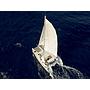 Book yachts online - catamaran - Lagoon 380 - Ploto - rent