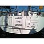 Harry the Viking