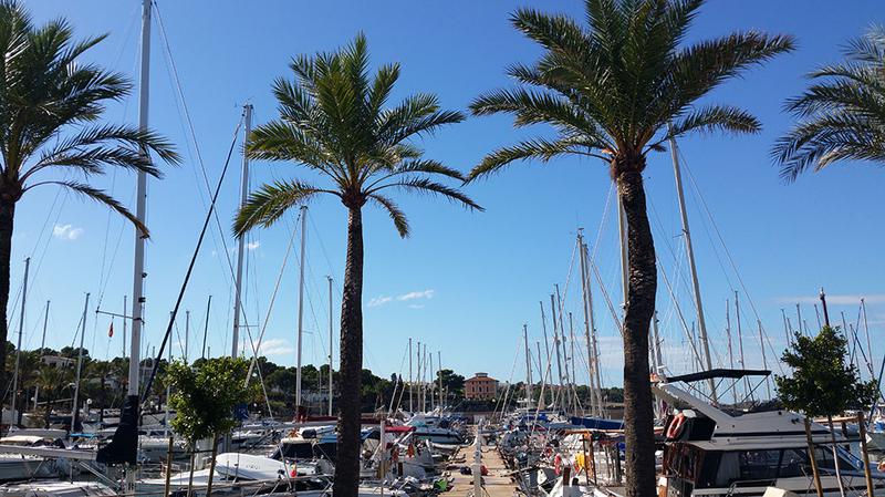 Book yachts online - sailboat - Bavaria Cruiser 51 - Firewall - rent