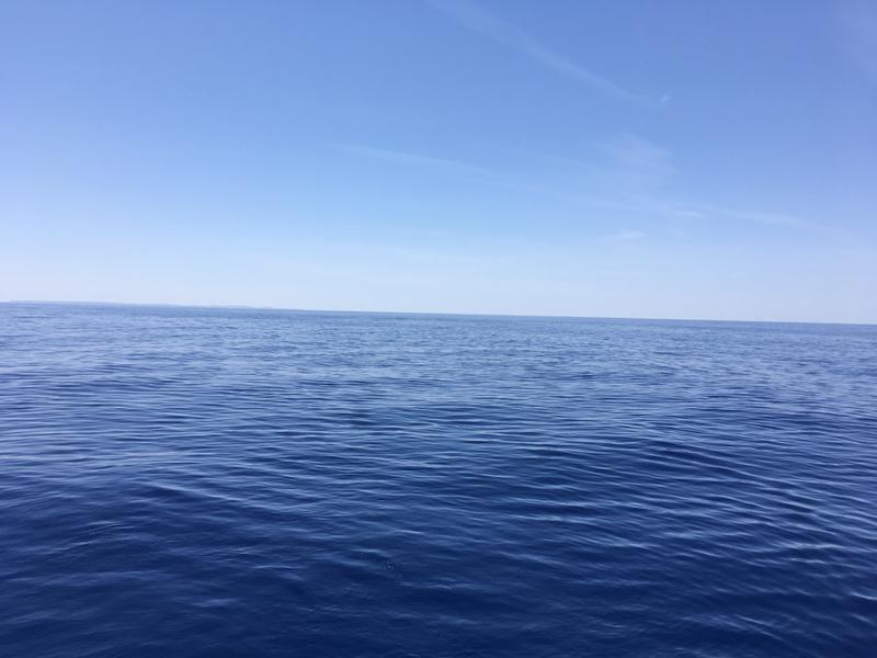 Book yachts online - sailboat - Dufour 56 Exclusive - INVICTUS - rent