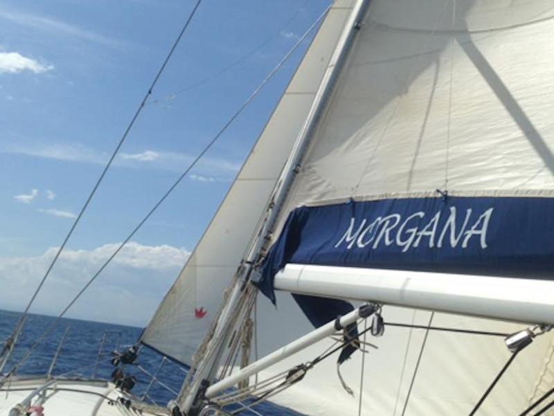 Book yachts online - sailboat - Bavaria 44 - Morgana - rent