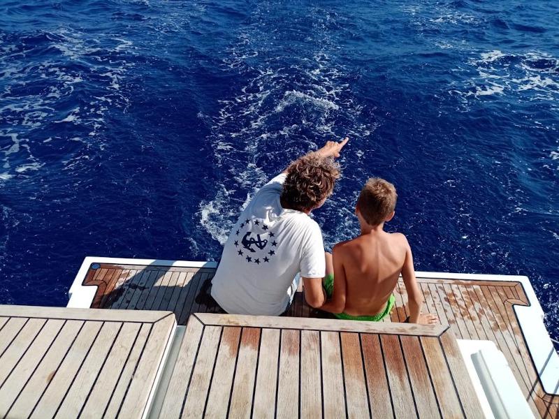 Book yachts online - sailboat - Bavaria C45 - Red Horizon - rent