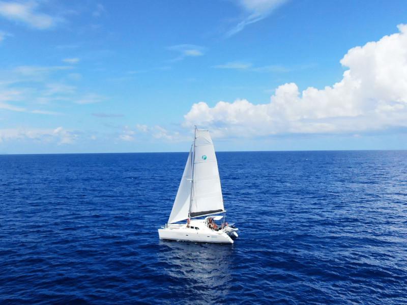 Book yachts online - catamaran - Lagoon 380 S2 - Only More One - rent