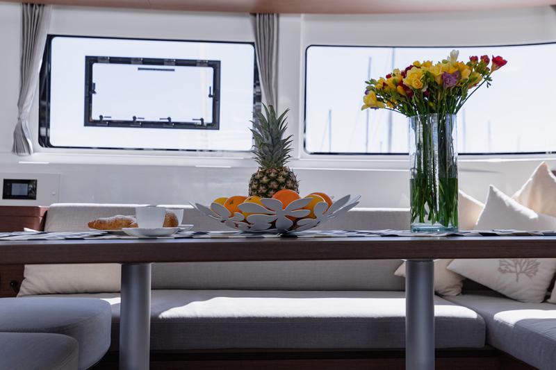 Book yachts online - catamaran - Lagoon 46 (2020) equipped with generator, A/C (saloon+cabins), ice maker, microwave oven, dishwasher - HANGOVER - rent