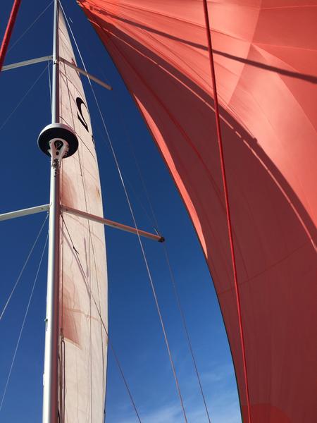 Book yachts online - sailboat - Oceanis 38 - Omega - rent