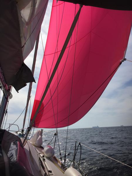 Book yachts online - sailboat - Oceanis 37 - WIND OF CHANGE - rent