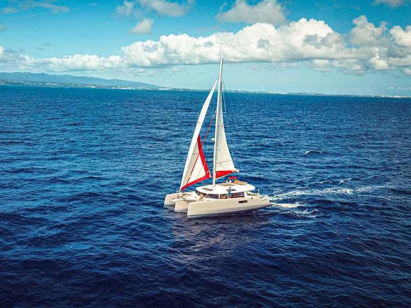 Book yachts online - catamaran - Neel 51 LOFT - L'OCTANT - rent