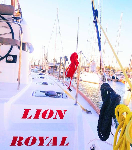Book yachts online - catamaran - Lagoon 39 - Lion Royal - rent