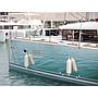 Book yachts online - catamaran - Lagoon 400 S2 LIMITED EDITION - SCIROCCO Limited Edition - rent