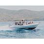 Book yachts online - motorboat - Scanner 710 - Envy Tender - rent