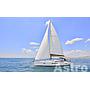 Book yachts online - sailboat - Sun Odyssey 509 - Astro - rent