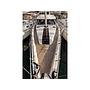 Book yachts online - sailboat - Moody DS 45 - Smiling Day - rent