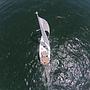 Book yachts online - sailboat - Sun Odyssey 509 - Aposperitis - A/C & Generator - rent
