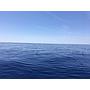 Book yachts online - sailboat - Dufour 56 Exclusive - INVICTUS - rent